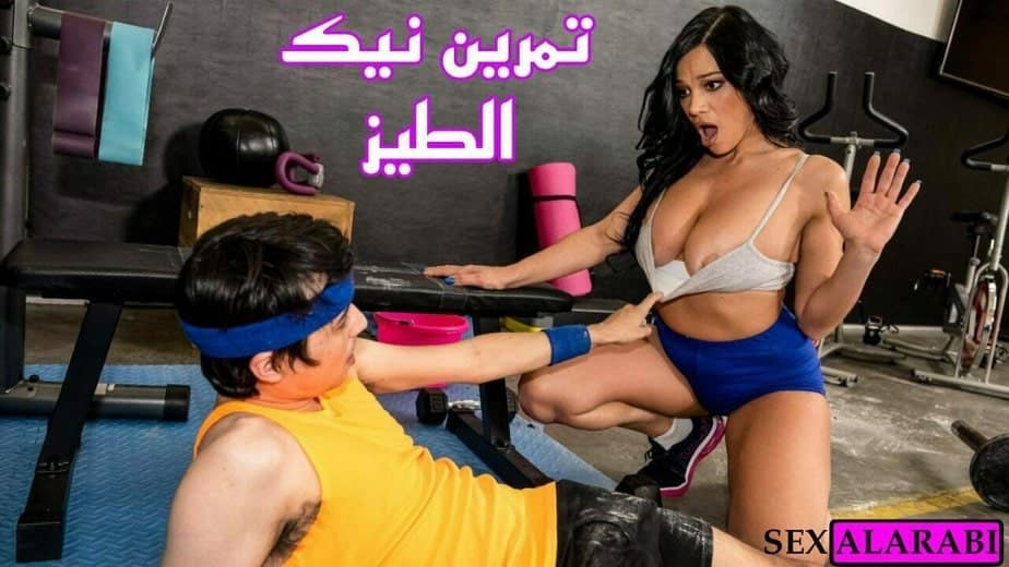 سكس نيك طيز مترجم – تمرين نيك الطيز مترجم