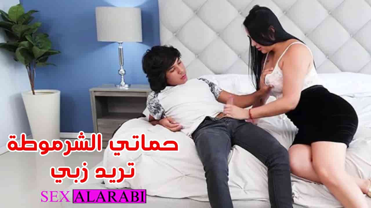 سكس مترجم حماتي الشرموطة تريد زبي سكس محارم
